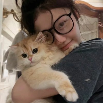 下狗风云 封面